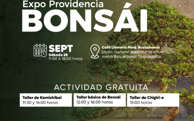 EXPO PROVIDENCIA BONSAI